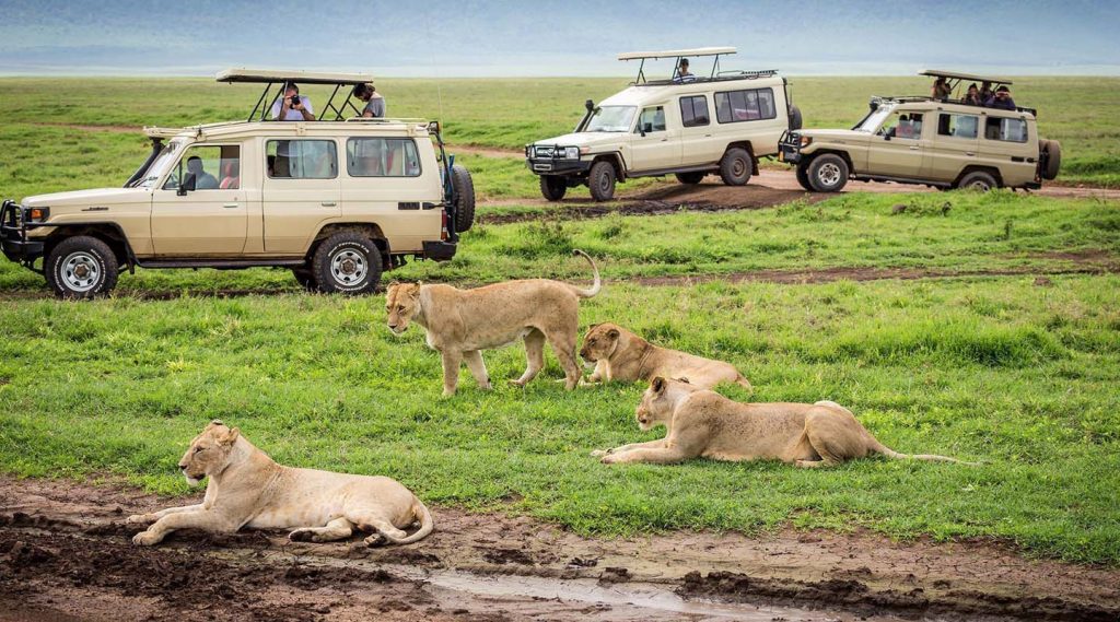 Lucky moon Adventure